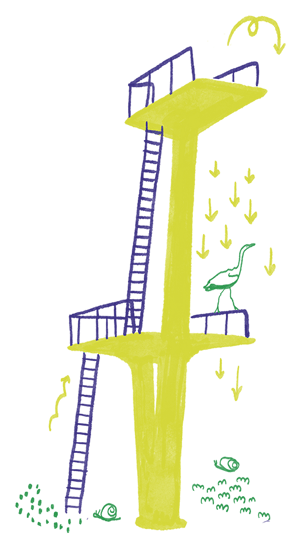 Le Grand Plongeon